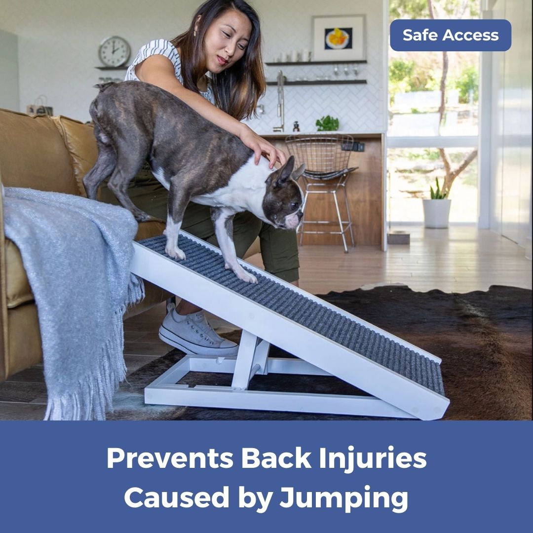 PawRamp – The #1 Vet-Recommended Way to Protect Your Dog’s Back & Joints